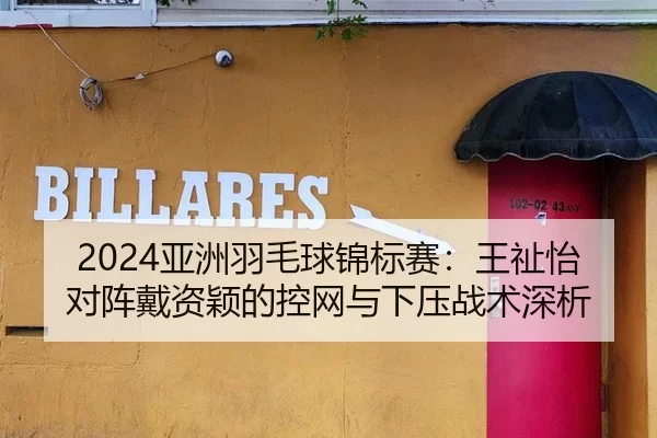 2024亚洲羽毛球锦标赛：王祉怡对阵戴资颖的控网与下压战术深析